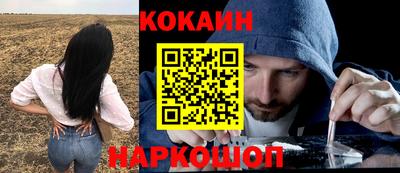 сатива Будённовск